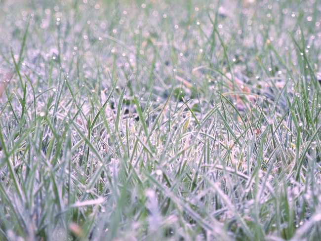 Testbilder der Nikon P7100